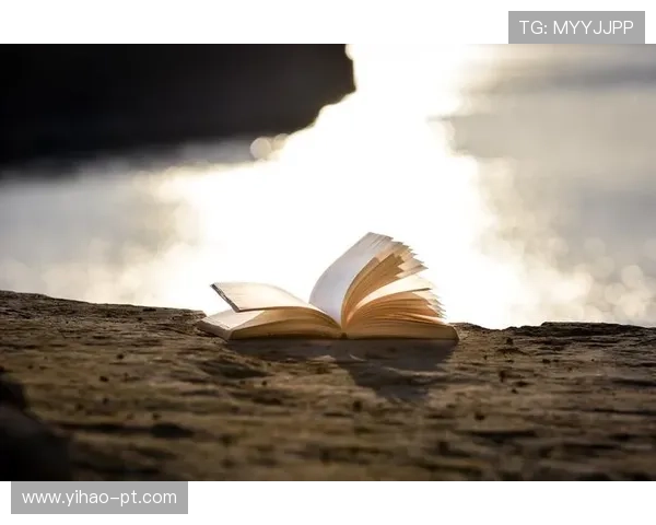 乐蠃国际的成功之道：如何实现跨国业务的增长